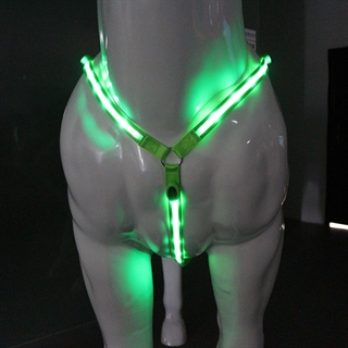 Fortøj med lys til heste-grøntlys